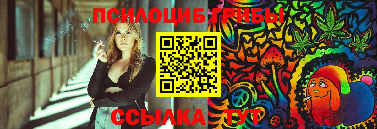 Псилоцибиновые грибы мицелий Новоалтайск