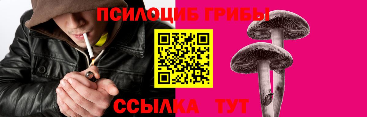 Новоалтайск  Псилоцибиновые грибы мицелий  Галлюциногенные грибы Psilocybine cubensis  Вход с VPN 